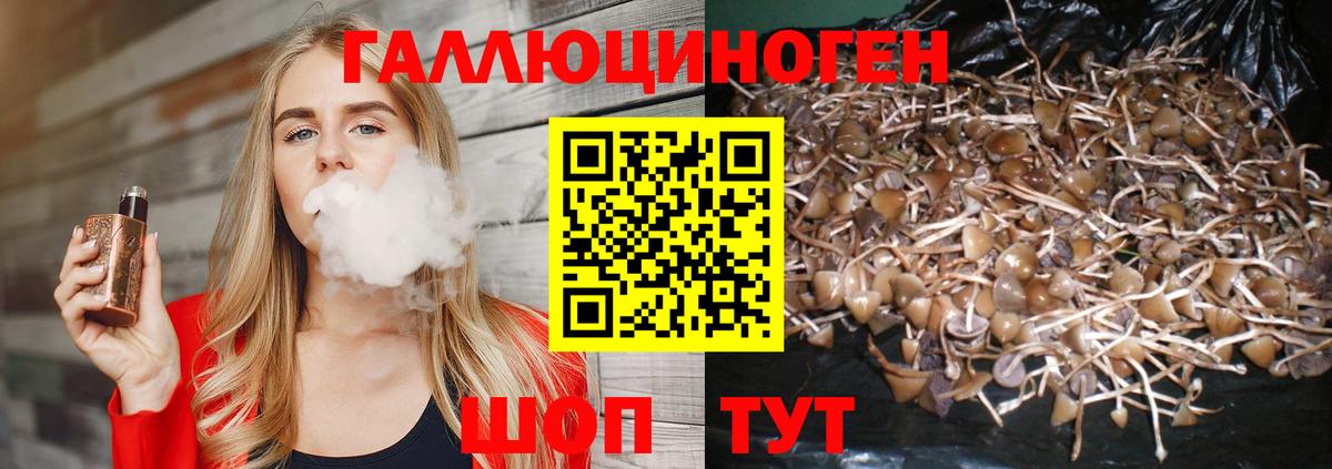 Галлюциногенные грибы мицелий Пермь