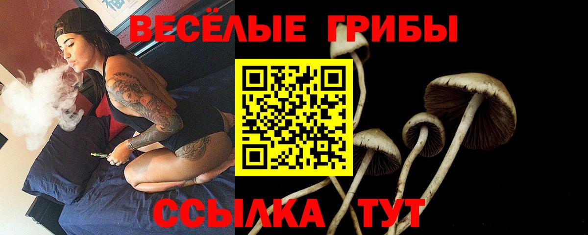 Галлюциногенные грибы GOLDEN TEACHER  Вход с VPN  купить наркотик  Пермь 